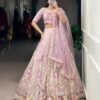 Pastel Elegance Embroidered Net Lehenga Choli